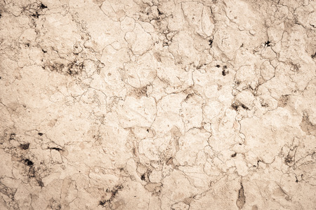 large grunge textures and backgrounds - perfect background with space for text or image

の写真素材
