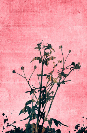 floral style textures isolated on white-with space for your designの写真素材