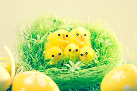 easter chick and painted Easter eggs for your easter designの写真素材