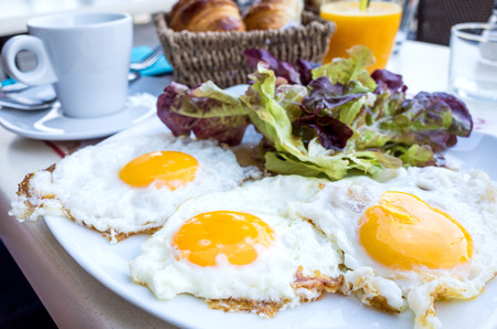 Prepared Egg - prepared egg under the sunの写真素材