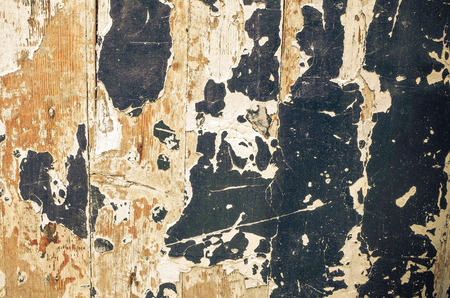 photo of the texture of wood background