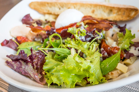 Delicious fresh salad and olive oilの写真素材