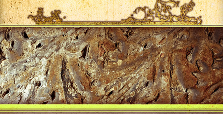 Grunge wallpaper with space for your designの写真素材