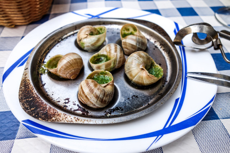 traditional snails with garlic butter as gourmet foodの写真素材