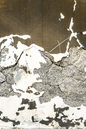 large grunge textures and backgrounds - perfect background with space for text or image.の写真素材