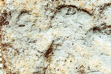 grungy wall Sandstone surface background.の写真素材