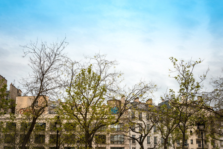 antique city building in paris,france Europeの写真素材