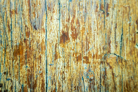 wood grungy background with space for your designの写真素材