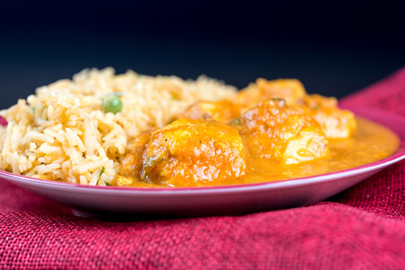 Handmade Indian curry chicken riceの写真素材