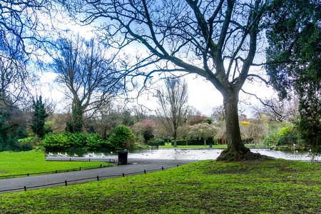 Street view of Dublin city centreの写真素材