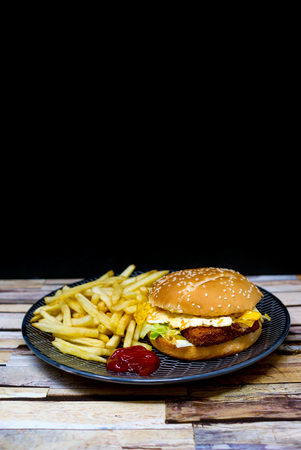 American fish burger with Golden French friesの写真素材