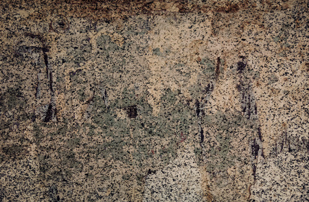 abstract grungy wall textures for yourの写真素材