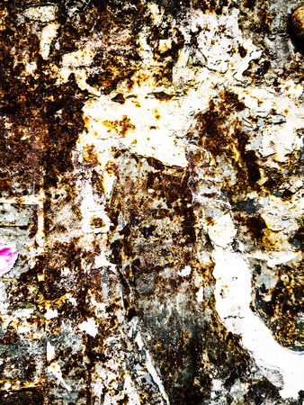Great for textures and backgrounds. perfect background with space for your projects text or image