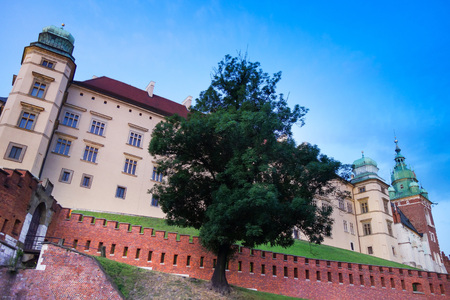 street view of downtown Krakow, Polandのeditorial素材
