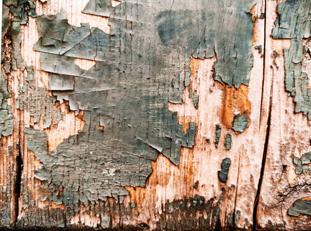 wood grungy background with space for your designの写真素材