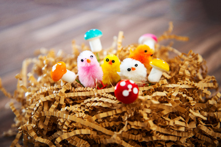 easter chick isolated for your easter design