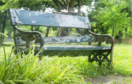 chair park relaxの写真素材