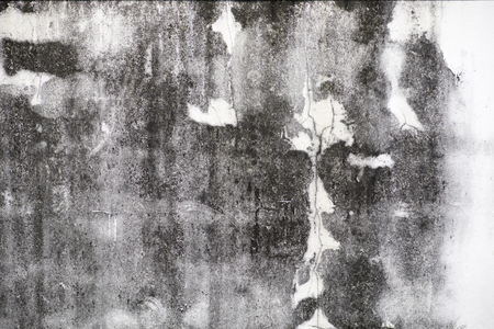 wall texture.の写真素材