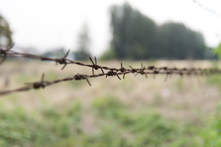 rusty barbed wire fenceの写真素材