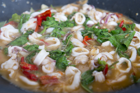 Squid basilの写真素材