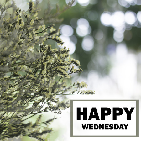Word "happy wednesday" on blurred flower backgroundの写真素材