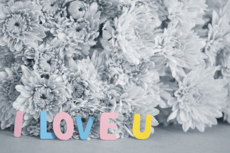 Word " I love U" on black and white flowers blurred backgroundの写真素材