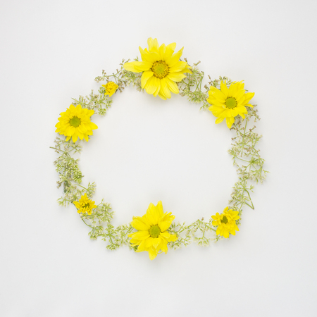 round frame wreath pattern with yellow Chrysanthemums and wild flowers on white background with copy space. flat lay top view.の写真素材