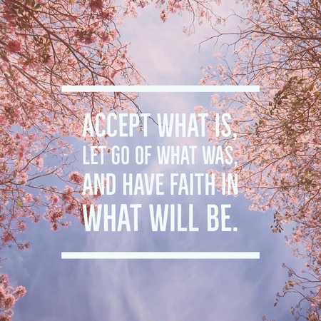 Inspirational motivational quote "the comeback is always stronger than the setback." On coconut leaf during sunset backgroundの写真素材