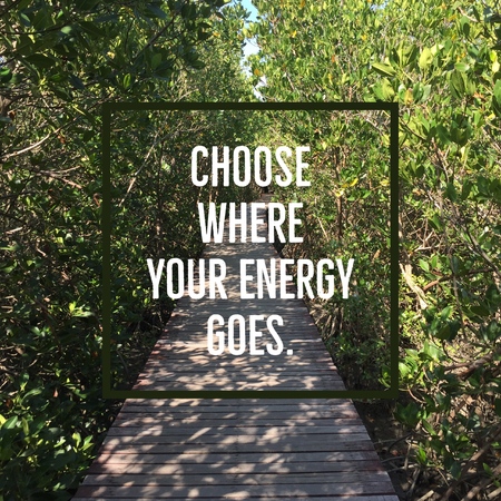 Inspirational motivational quote "Choose where your energy goes" on wooden walkway with green leaves background.の写真素材