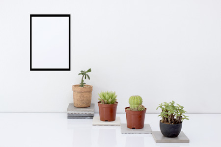 Scandinavian Hipster interior design with succulents and cactus in plastic planter and Mock up paper...