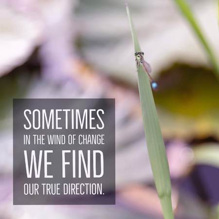 Inspirational motivational quote Sometimes in the wind of change we find our true direction. with...