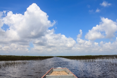 Wetlands, Swamp, Thalaynoi, Phathalung Province, South of Thailandの写真素材