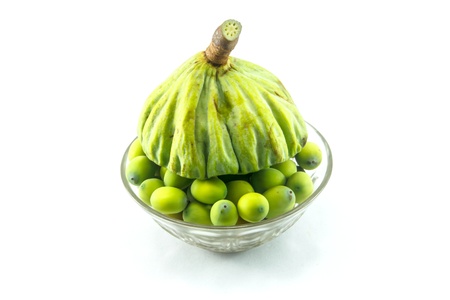 Lotus seeds green Isolated