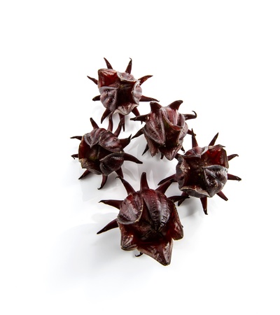 Hibiscus sabdariffa or roselle fruits on white backgroundの写真素材