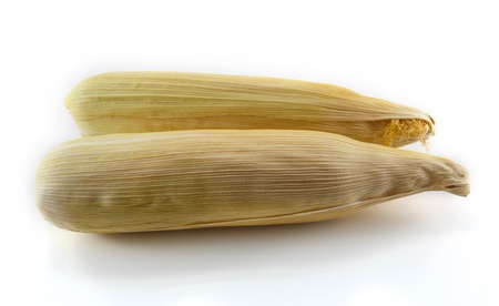 corn isolated on  white backgroundの写真素材