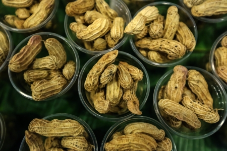 nuts peanuts isolated on white backgroundの写真素材
