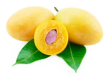Closeup sweet Marian plum thai fruit isolated on white background (Mayongchid Maprang Marian Plum...