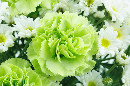 white and green flowers backgroundの写真素材