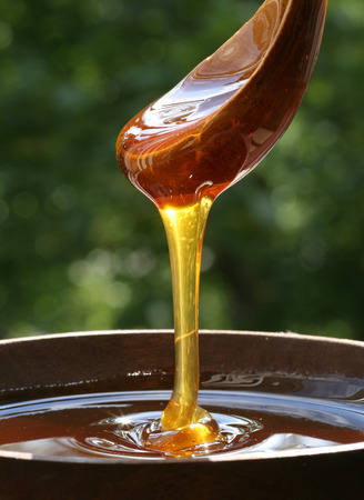 honey in a wooden spoon,の写真素材