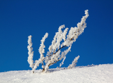 winter, snow driftsの写真素材