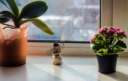 a angel on window background with flowerpotの写真素材