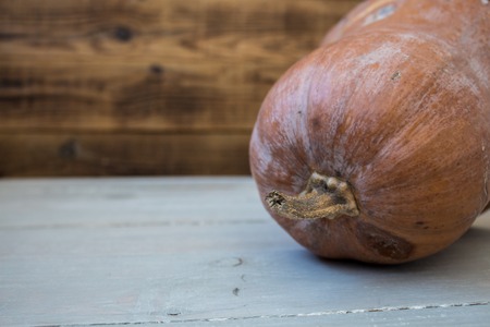 a pumpkin on a grey wooden background