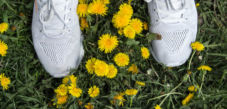 a white sport shoes in the grass and dandelionsの写真素材
