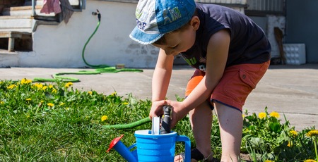 the boy pours waterの写真素材