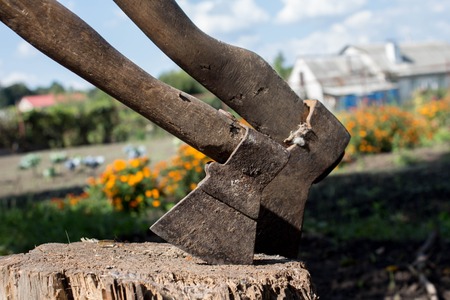 two axes on hemp on backyardの写真素材