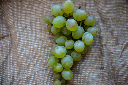 bunch of ripe grapes against a burlapの写真素材