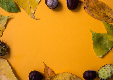 orange paper background with leaves and chestnuts autumn styleの写真素材