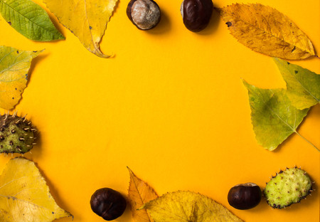 a orange paper background with leaves and chestnuts autumn styleの写真素材