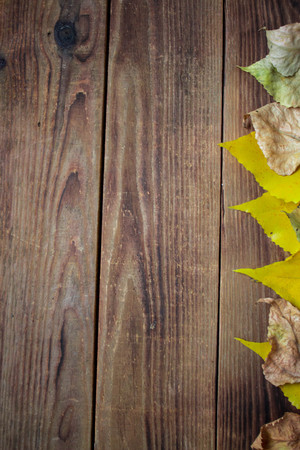 background autumn yellow leaves on wooden backgroundの写真素材