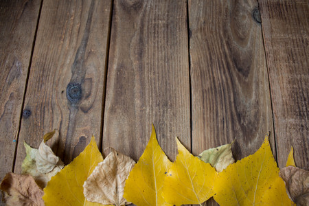 background autumn yellow leaves on wooden backgroundの写真素材